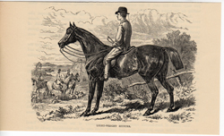 Antique equestrian prints